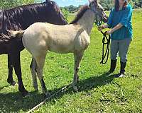 back-pastern-ahite