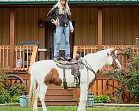 athletic-paint-horse