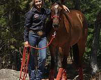 cutting-quarter-horse