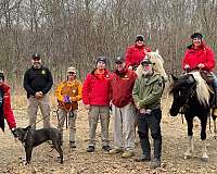 breeding-spotted-saddle-horse