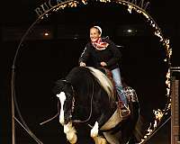 driving-draft-horse