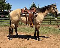 fly-filly