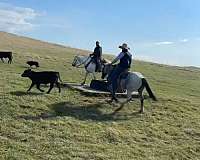 working-mare-yearling