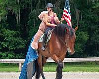 kid-safe-horse