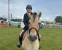 athletic-ability-fjord-horse