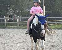 best-friend-draft-horse