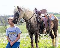 trail-pony