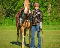 drill-team-paint-horse