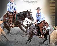 aqha-points-paint-horse