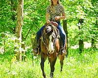 large-rider-paint-horse