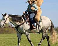 trail-riding-quarter-horse