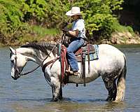youth-quarter-horse