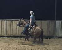 kid-safe-quarter-horse