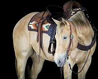 ranch-versatility-quarter-horse
