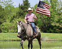 ranch-quarter-horse