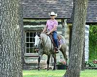 ranch-work-quarter-horse