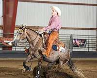 trail-riding-quarter-horse