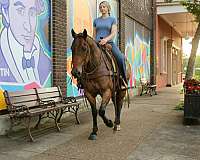 kid-safe-quarter-horse