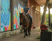 roping-quarter-horse