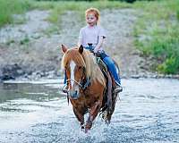 barrel-racing-quarter-pony