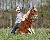 youth-paint-pony