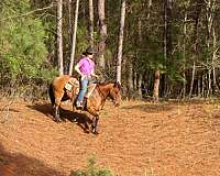 flashy-quarter-horse