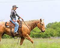 barrel-quarter-pony