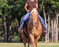 barrel-racing-quarter-pony