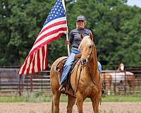 ranch-quarter-pony