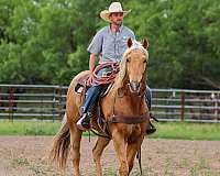 ranch-work-quarter-pony