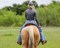 trail-riding-quarter-pony