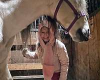 equitation-andalusian-horse