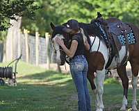 husband-safe-paint-horse