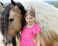 trail-riding-gypsy-vanner-horse
