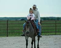 athletic-quarter-horse