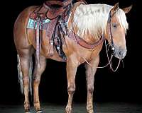 barrel-racing-quarter-horse