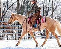 ranch-versatility-quarter-horse