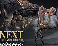 cross-draft-horse
