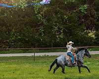ranch-work-draft-horse