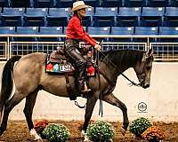 ranch-quarter-horse