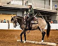 ranch-work-quarter-horse