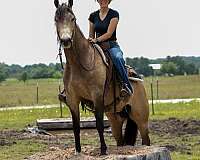 roping-quarter-horse