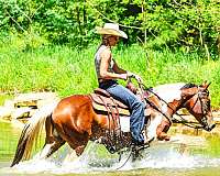 athletic-paint-horse