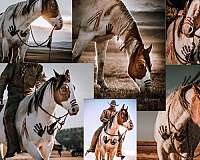 body-control-paint-horse