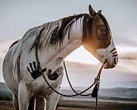 brand-paint-horse