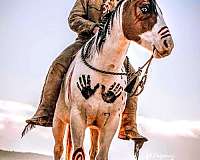 saint-paint-horse