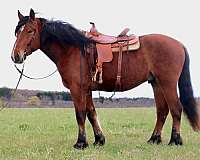 ranch-work-draft-horse