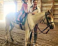 perfect-conformation-mare