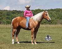 heel-quarter-horse