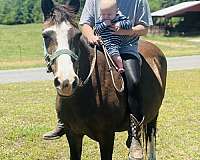 pony-mare